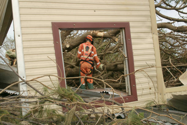 Martinsville, IL Tree Removal Company